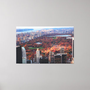 A view from above: Autumn in Central Park 01 Canvas Print