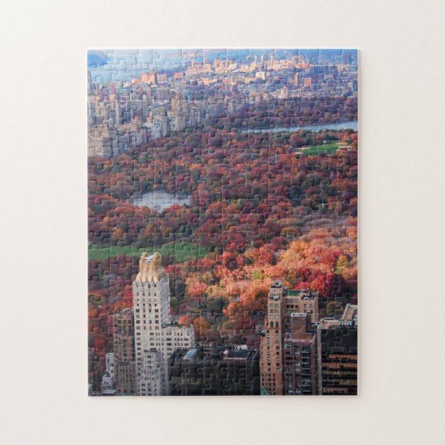 A view from above: Autumn in Central Park 01 Jigsaw Puzzle (Vertical)