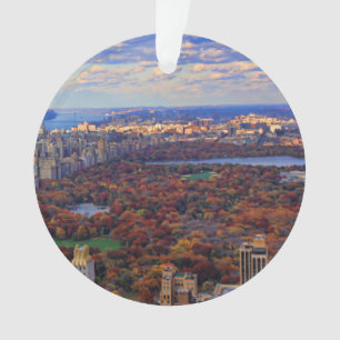 A view from above: Autumn in Central Park 01 Ornament