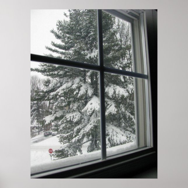 A View from Window of Snow Covered Evergreen Poster (Front)