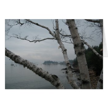 A View In Maine by judynd at Zazzle