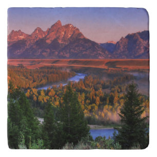 A View in the Morning Trivet