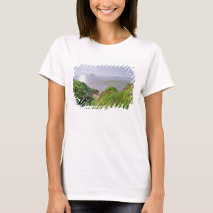 A View of Ailsa Craig and the Isle of Arran, 1860 T-Shirt