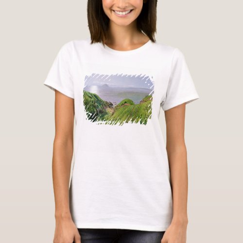 A View of Ailsa Craig and the Isle of Arran 1860 T_Shirt