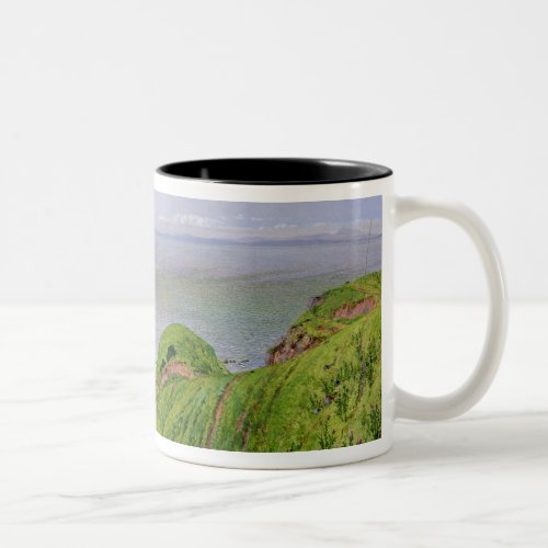 A View of Ailsa Craig and the Isle of Arran 1860 Two_Tone Coffee Mug