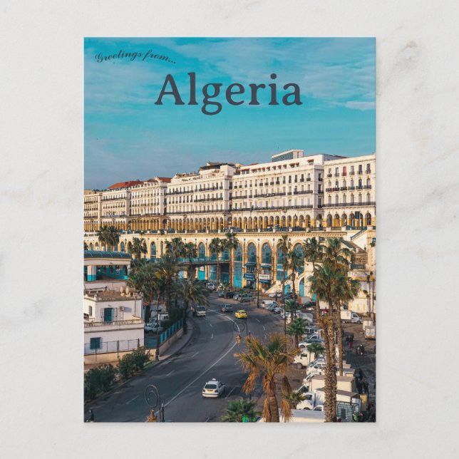 A View of Algiers Algeria Postcard (Front)