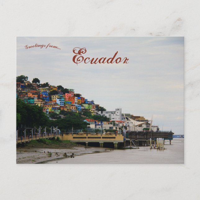 A View of Guaiaquil Ecuador Postcard (Front)