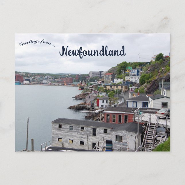 A View of St. John's Newfoundland Canada Postcard (Front)