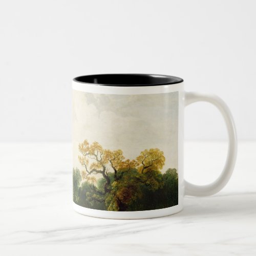 A View of the Serpentine 1815 oil on canvas Two_Tone Coffee Mug