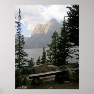 A View with a Bench Poster