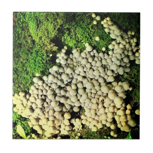 A Village of Mushrooms Ceramic Tile