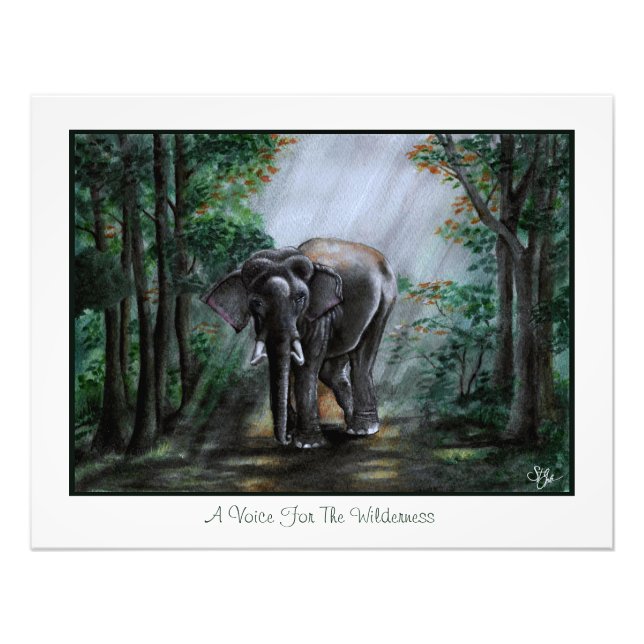 A Voice For The Wilderness Photo Print (Front)