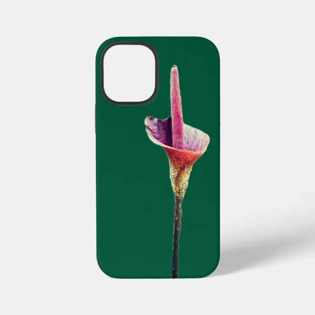 A voodoo-lily flower iphone case (Back)