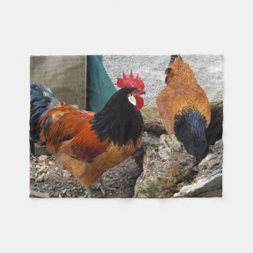 A Vorwerks Chicken pair Rooster and Hen Eating Fleece Blanket