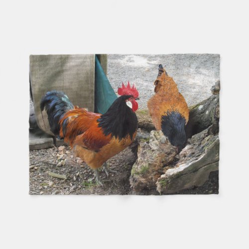 A Vorwerks Chicken pair Rooster and Hen Eating Fleece Blanket