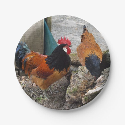 A Vorwerks Chicken pair Rooster and Hen Eating Paper Plates