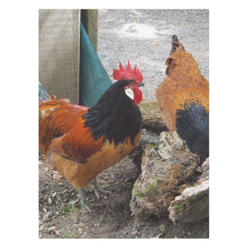 A Vorwerks Chicken pair Rooster and Hen Eating Tablecloth