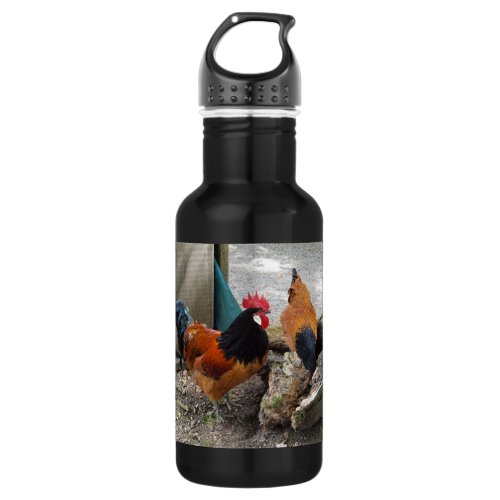 A Vorwerks Chicken pair Rooster and Hen Eating Water Bottle