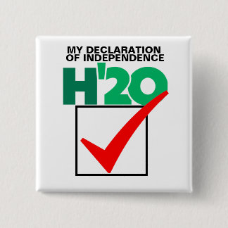 A Vote for Howie Hawkins in 2020 Button