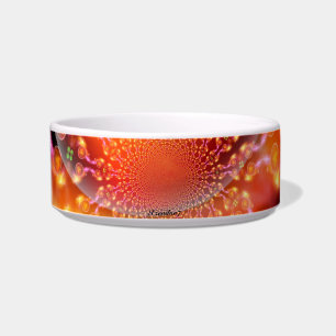 A Wacky Inter-Dimensional Nursery Pet Bowl