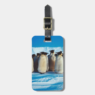 A Waddle of Penguins Luggage Tag