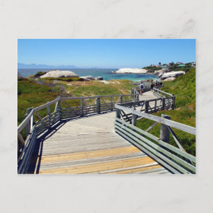 A walk down to Boulders Beach, South Africa Postcard