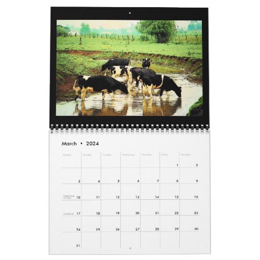 A Walk in Amish Country Calendar Zazzle