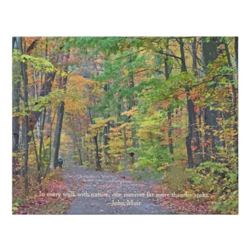 A Walk in Autumn Woods Original Photograph Faux Canvas Print