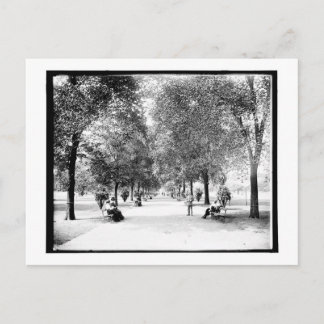 A Walk in Lincoln Park, Chicago, Illinois Vintage Postcard