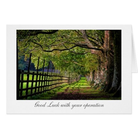 A Walk In The Park - Good Luck with your Surgery Card
