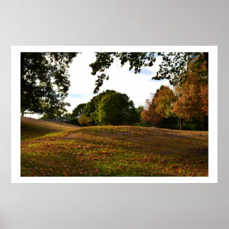 A Walk In The Park Poster