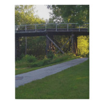 A Walk In the Woods