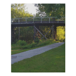 A Walk In the Woods Faux Canvas Print