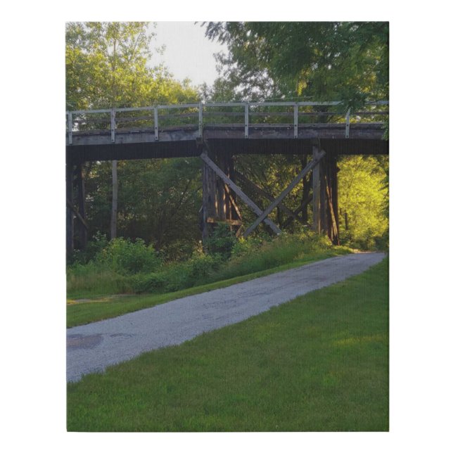 A Walk In the Woods Faux Canvas Print (Front)