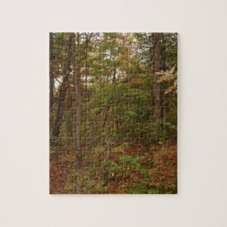 A Walk In The Woods Jigsaw Puzzle