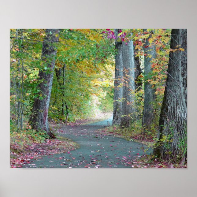 A Walk in the Woods Original Photograph Art Poster (Front)