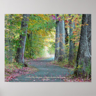 A Walk in the Woods Original Photograph Art Poster