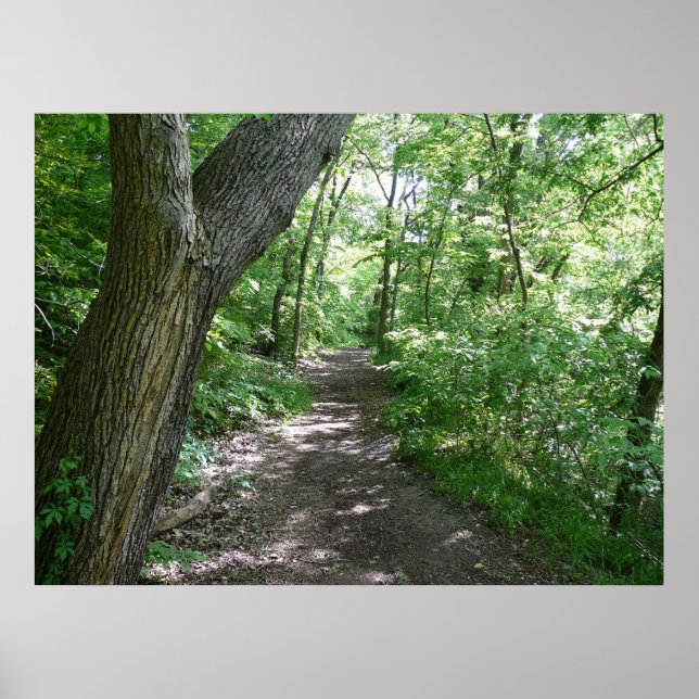 A walk in the woods poster (Front)