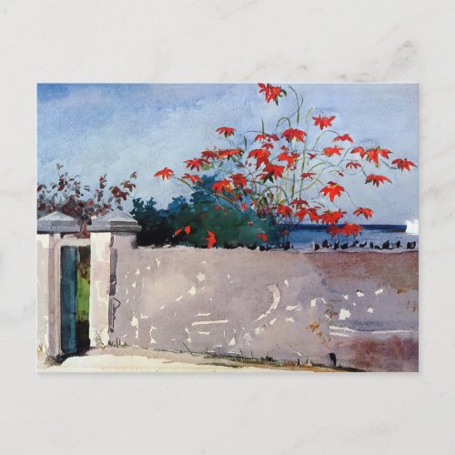 A Wall in Nassau Watercolor Winslow Homer Postcard