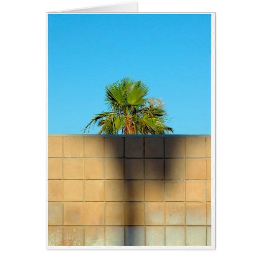 A Wall Off Wyman (Front)