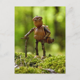 A wanderer on the trip. Summer camping Postcard