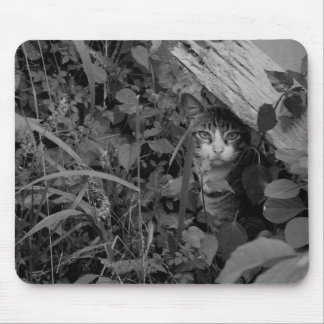 A Wanderer's Dwelling Mouse Pad