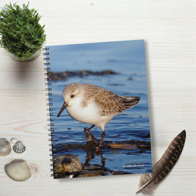 A Wandering Sanderling Notebook (Wandering Sanderling on the Beach Journal Cover Photo)