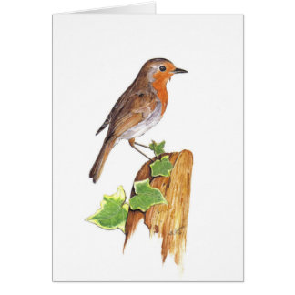 A watchfull Robin, fine art, watercolour Cards