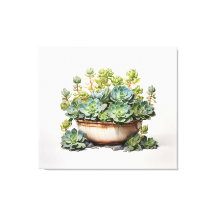A Watercolor Oasis Succulent Watercolor Painting