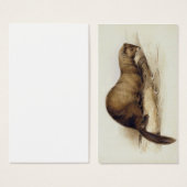 A Weasel, 1832 (w/c, pen, ink, gouache and gum ove (Front & Back)