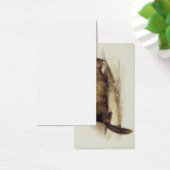 A Weasel, 1832 (w/c, pen, ink, gouache and gum ove (Desk)