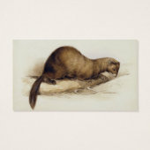 A Weasel, 1832 (w/c, pen, ink, gouache and gum ove (Back)