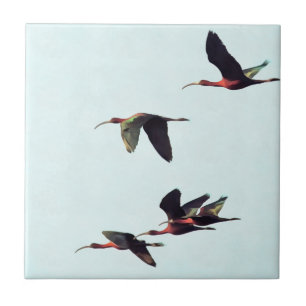 A Wedge of Ibises In Flight Ceramic Tile