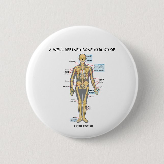A Well-Defined Bone Structure (Human Skeleton) Button (Front)